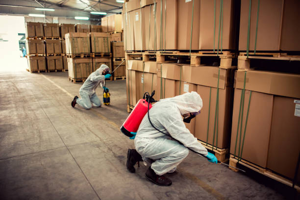 Best Cockroach Control Services  in Burlington, CO