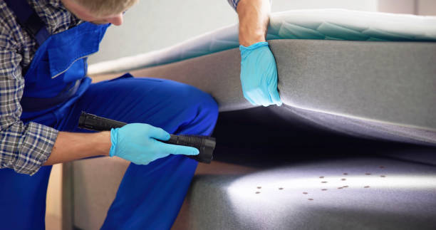 Best Pest Removal Services  in Burlington, CO