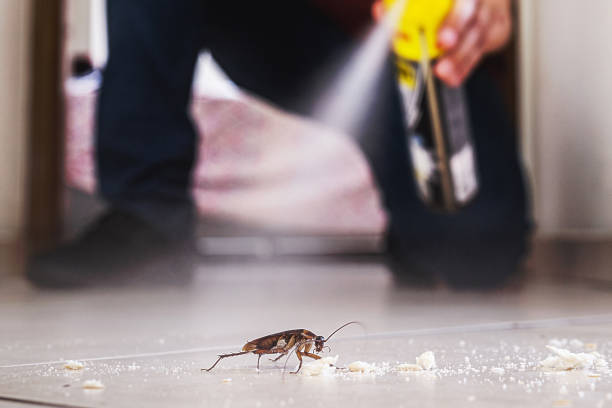 Trusted Burlington, CO Pest Control Experts